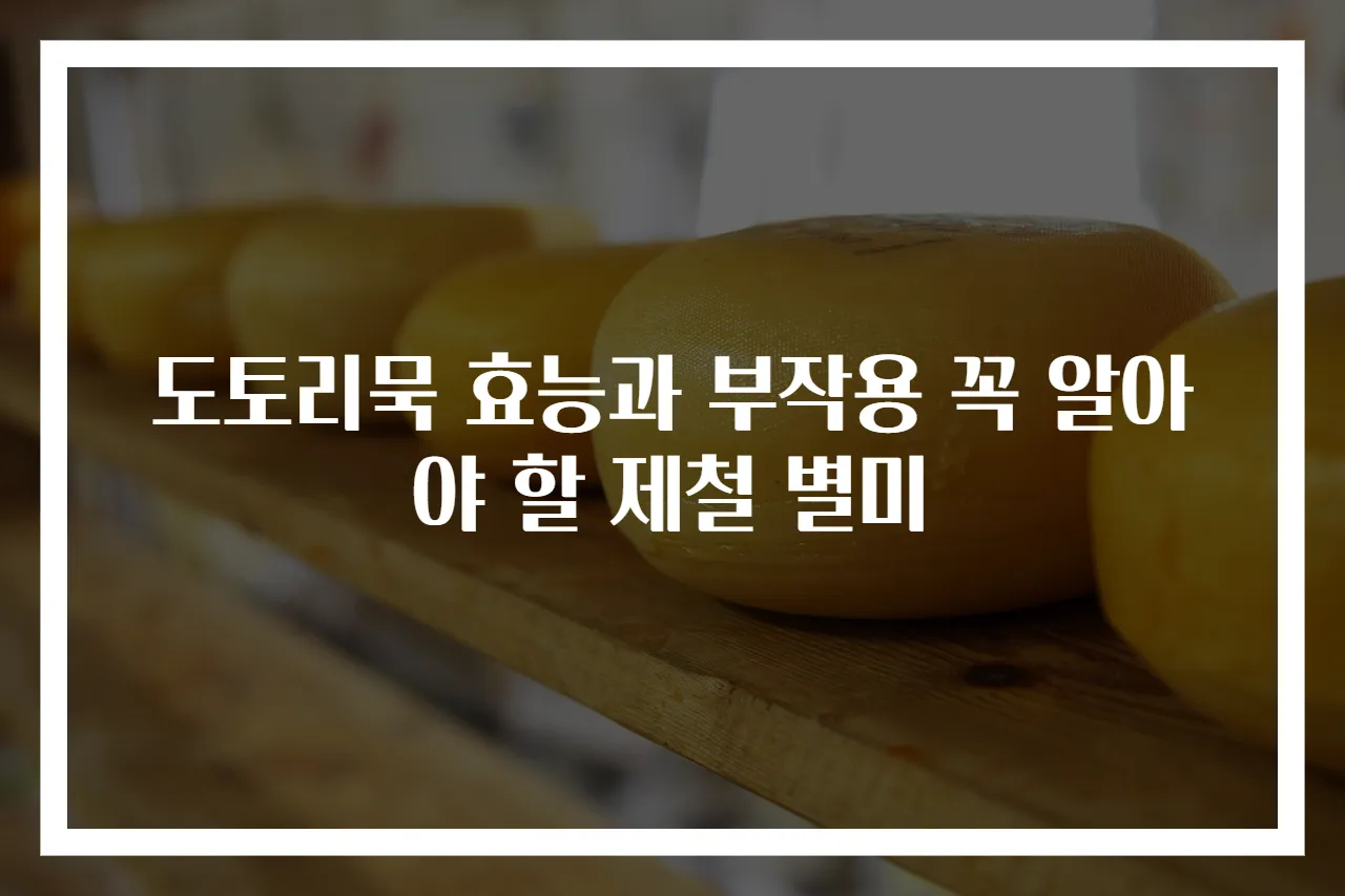 도토리묵 효능과 부작용 꼭 알아야 할 제철 별미