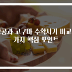 땅콩과 고구마 수확시기 비교 3가지 핵심 포인트