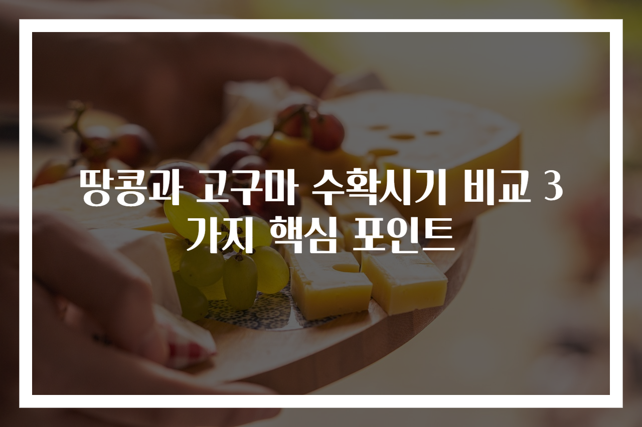 땅콩과 고구마 수확시기 비교 3가지 핵심 포인트