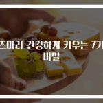 로즈마리 건강하게 키우는 7가지 비밀