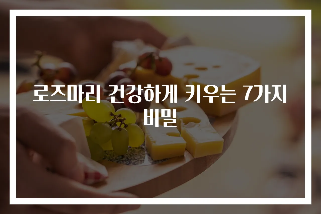 로즈마리 건강하게 키우는 7가지 비밀