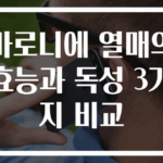 마로니에 열매의 효능과 독성 3가지 비교