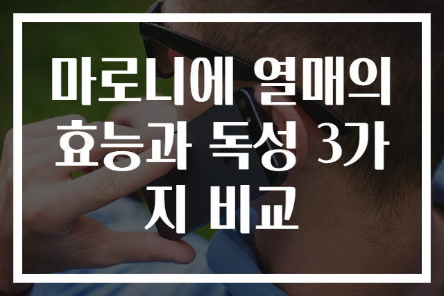 마로니에 열매의 효능과 독성 3가지 비교