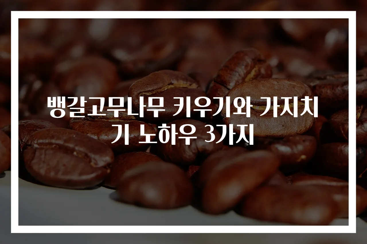 뱅갈고무나무 키우기와 가지치기 노하우 3가지