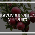 뱅갈고무나무 포함 5가지 고무나무 키우기 비법