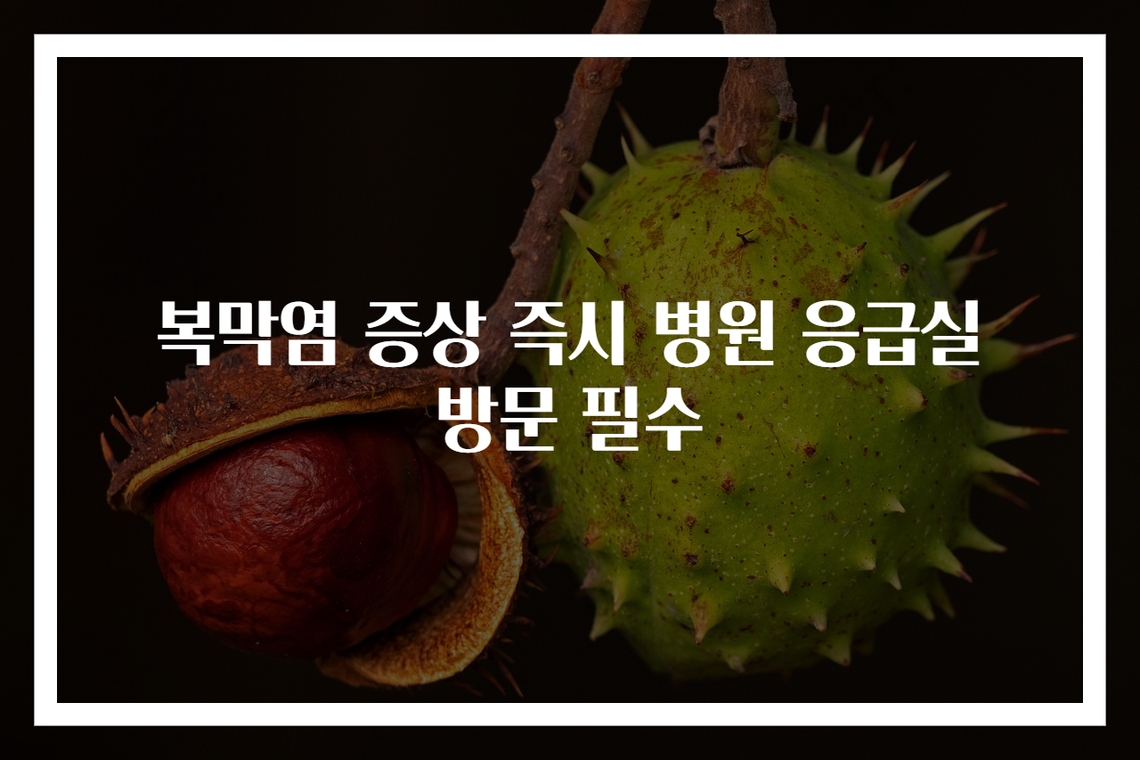 복막염 증상 즉시 병원 응급실 방문 필수