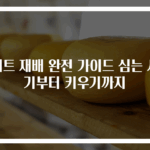 비트 재배 완전 가이드 심는 시기부터 키우기까지