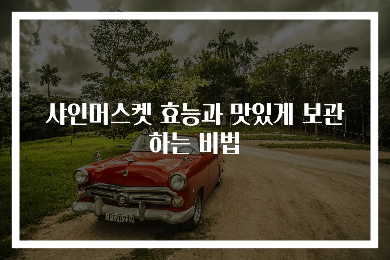 샤인머스켓 효능과 맛있게 보관하는 비법