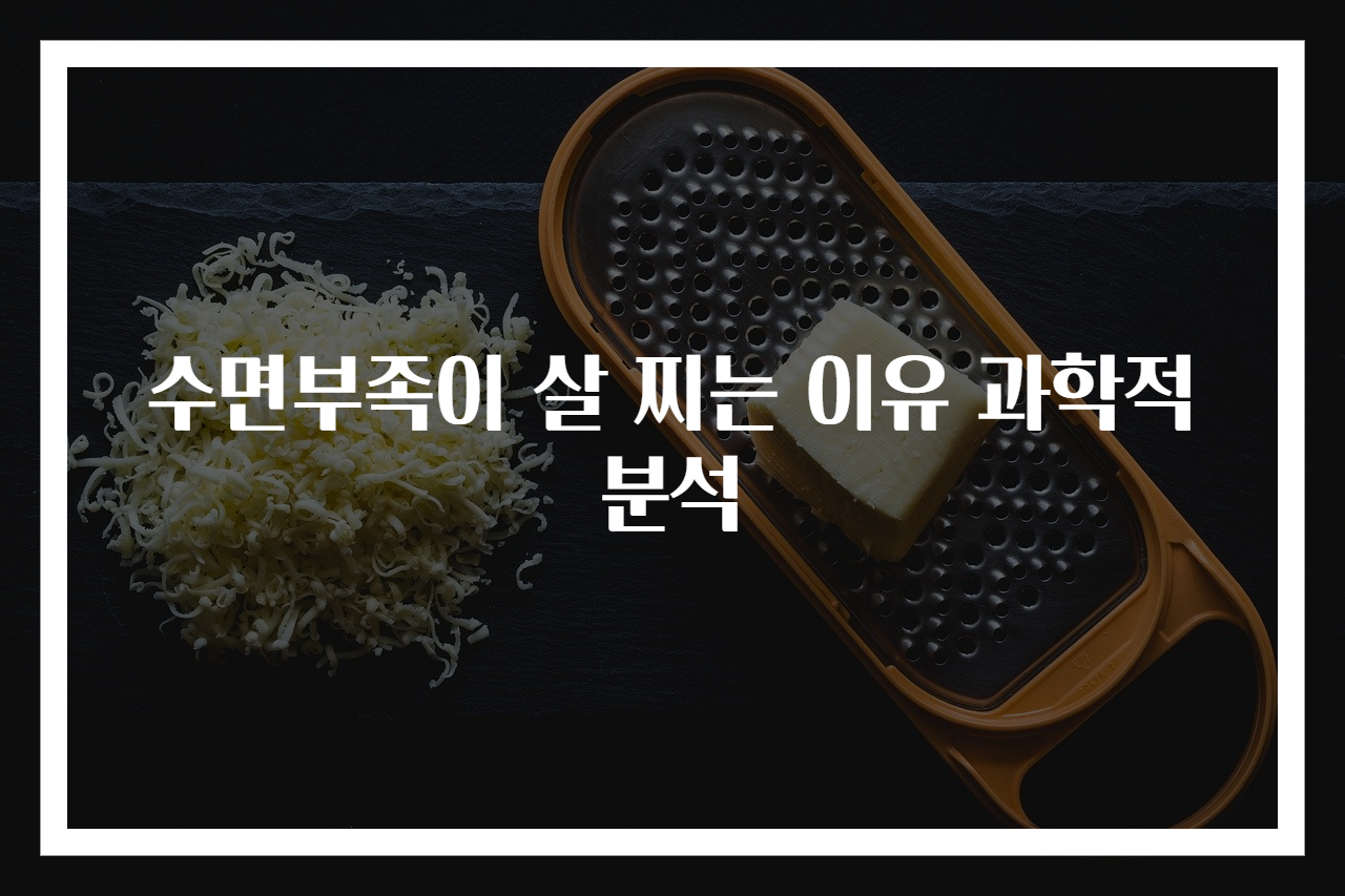 수면부족이 살 찌는 이유 과학적 분석