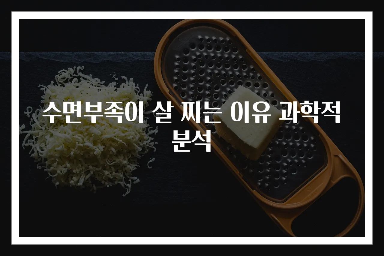 수면부족이 살 찌는 이유 과학적 분석