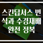 스킨답서스 번식과 수경재배 완전 정복