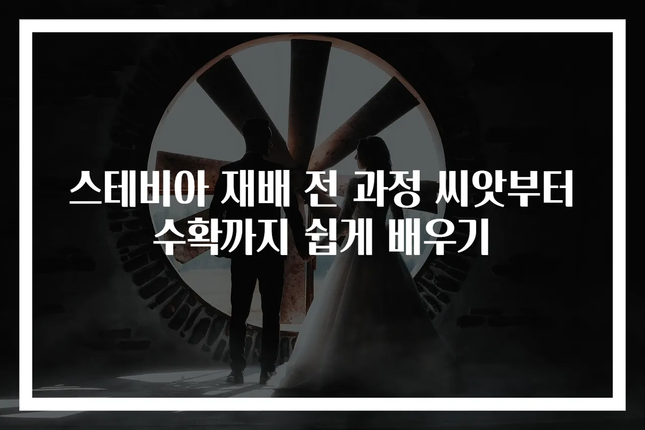 스테비아 재배 전 과정 씨앗부터 수확까지 쉽게 배우기