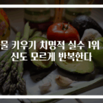 식물 키우기 치명적 실수 1위 당신도 모르게 반복한다