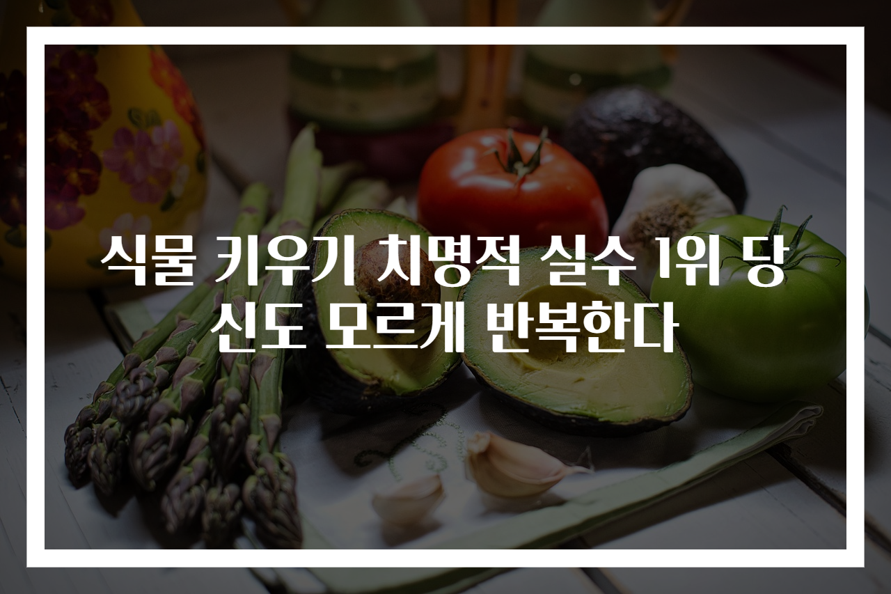 식물 키우기 치명적 실수 1위 당신도 모르게 반복한다