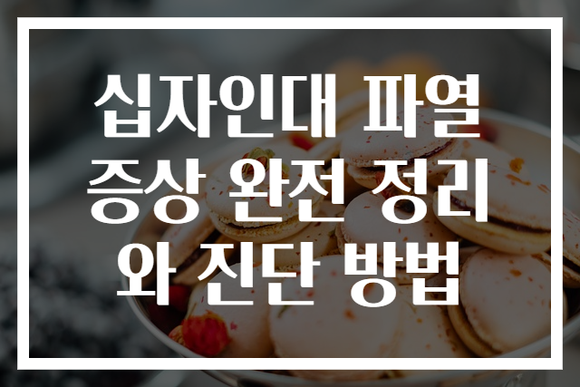 십자인대 파열 증상 완전 정리와 진단 방법