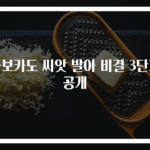 아보카도 씨앗 발아 비결 3단계 공개