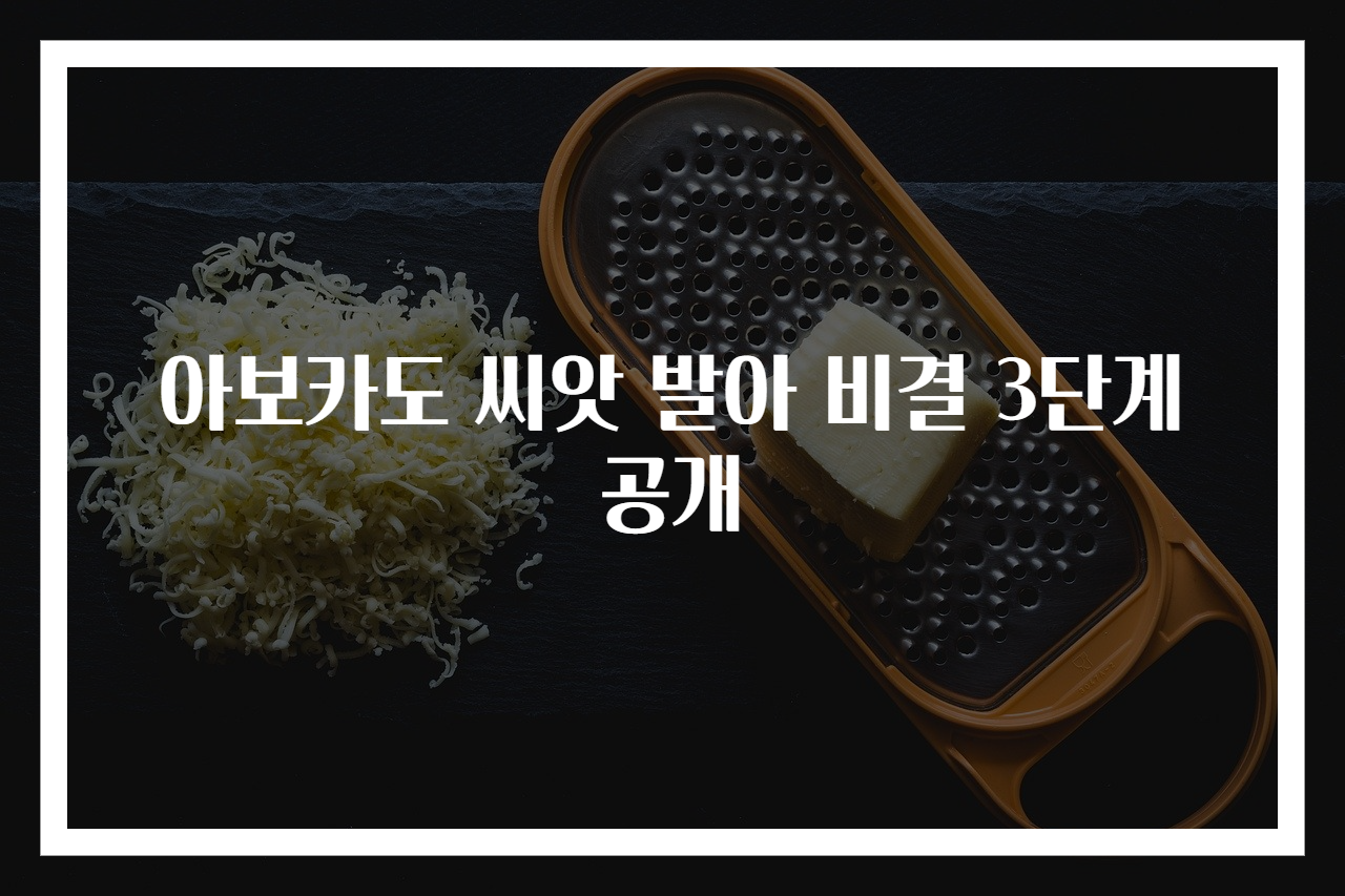 아보카도 씨앗 발아 비결 3단계 공개