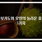 아보카도와 오일의 놀라운 효능 3가지