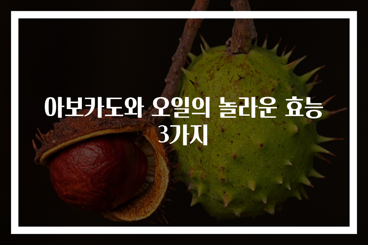 아보카도와 오일의 놀라운 효능 3가지