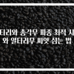 알타리와 총각무 파종 최적 시기와 알타리무 씨앗 심는 법