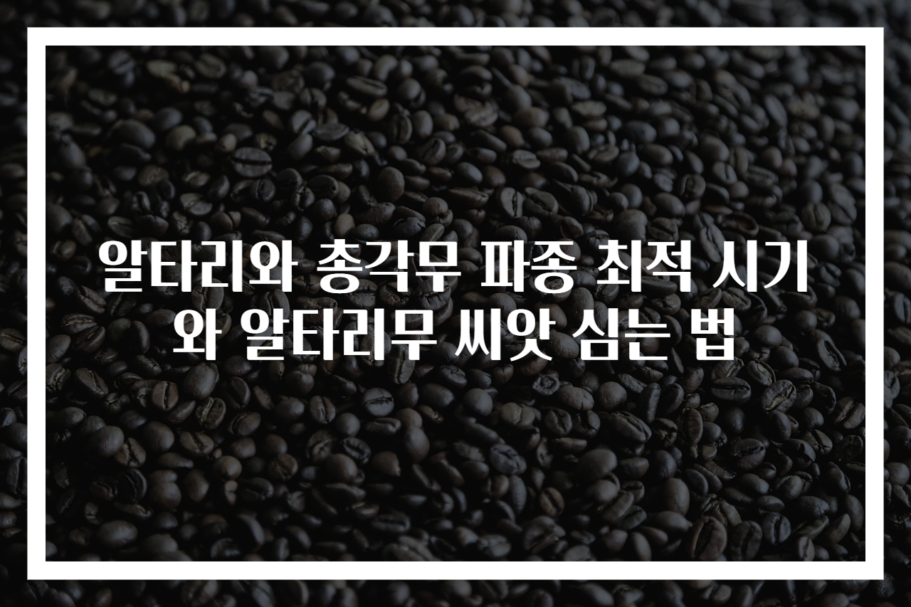 알타리와 총각무 파종 최적 시기와 알타리무 씨앗 심는 법