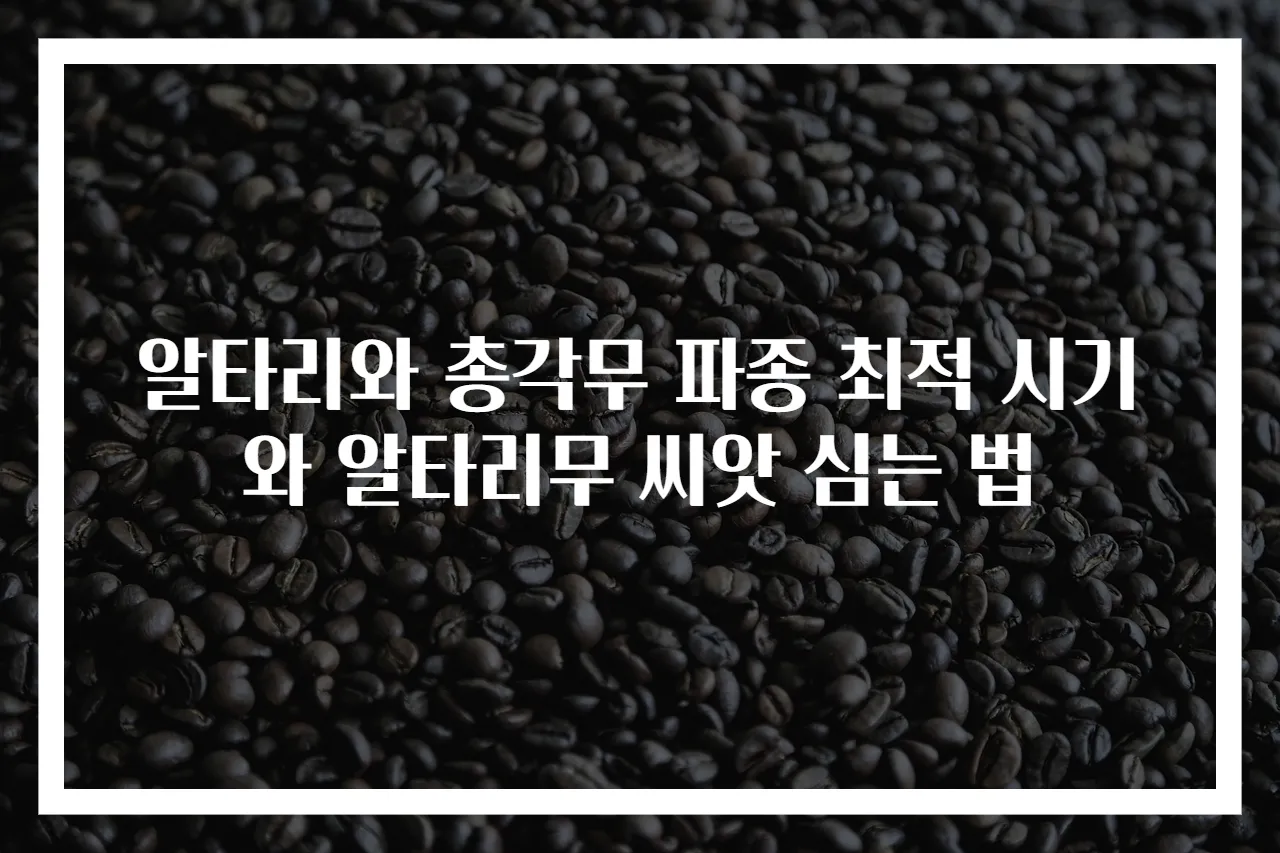 알타리와 총각무 파종 최적 시기와 알타리무 씨앗 심는 법