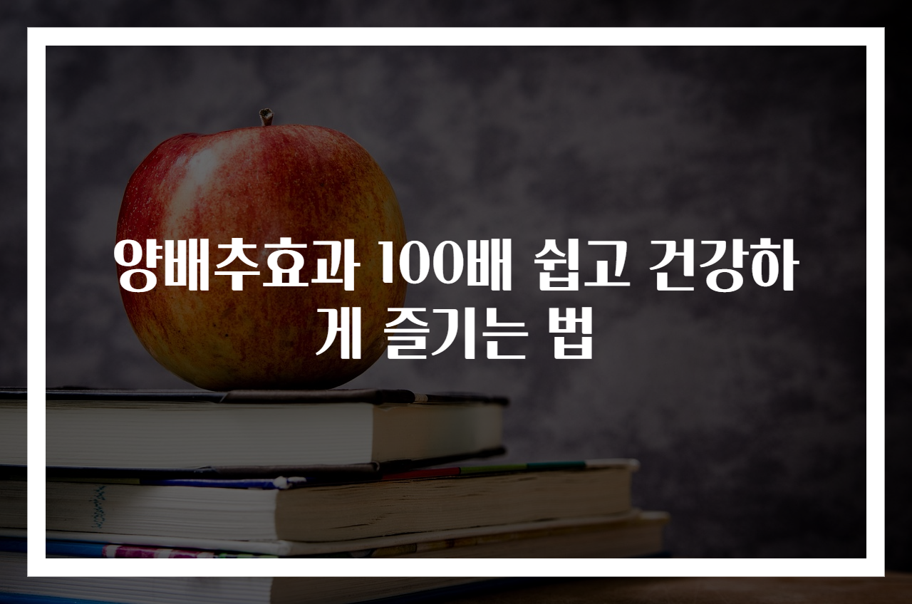 양배추효과 100배 쉽고 건강하게 즐기는 법