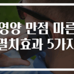 영양 만점 마른 멸치효과 5가지