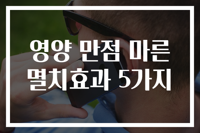 영양 만점 마른 멸치효과 5가지
