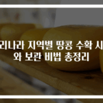 우리나라 지역별 땅콩 수확 시기와 보관 비법 총정리