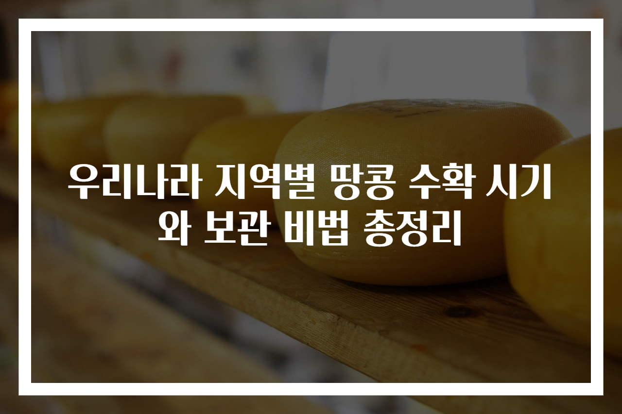 우리나라 지역별 땅콩 수확 시기와 보관 비법 총정리