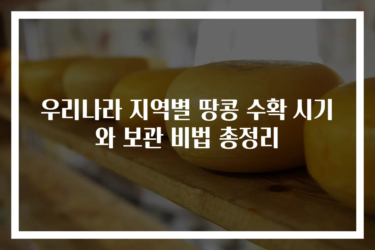 우리나라 지역별 땅콩 수확 시기와 보관 비법 총정리