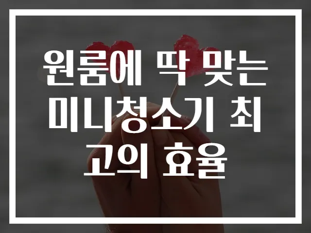 원룸에 딱 맞는 미니청소기 최고의 효율