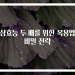 인삼효능 두 배를 위한 복용법과 비밀 전략