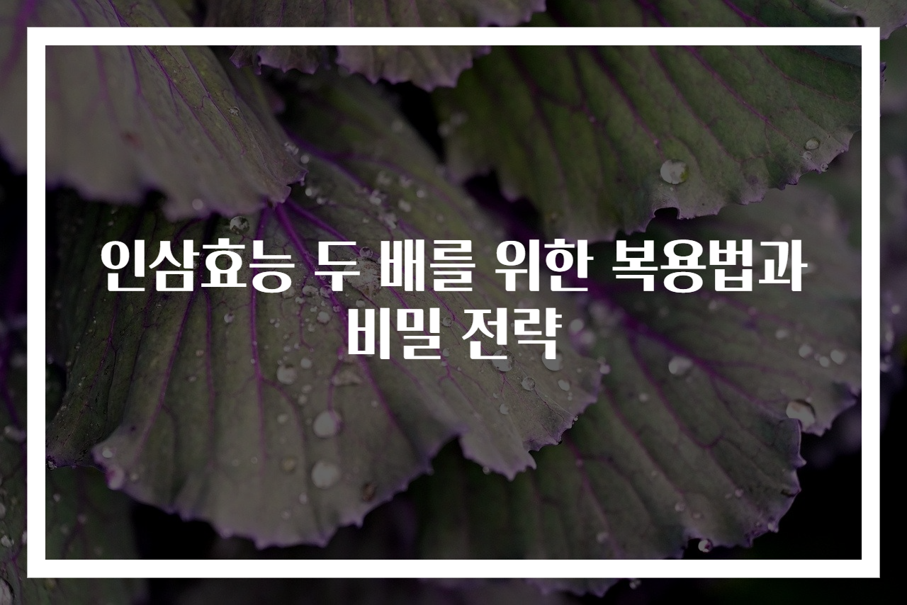 인삼효능 두 배를 위한 복용법과 비밀 전략