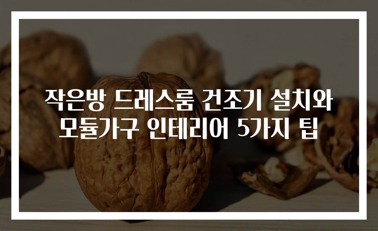 작은방 드레스룸 건조기 설치와 모듈가구 인테리어 5가지 팁