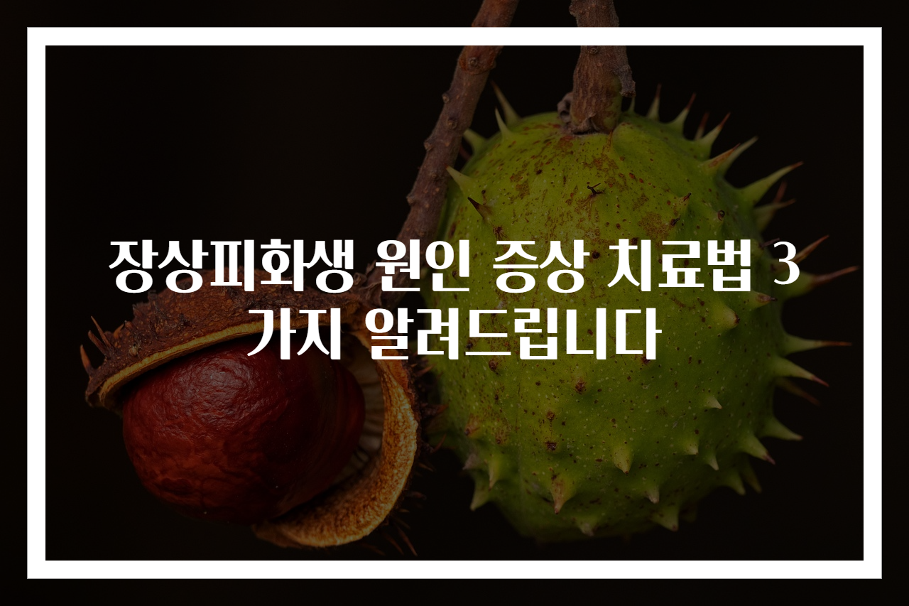 장상피화생 원인 증상 치료법 3가지 알려드립니다