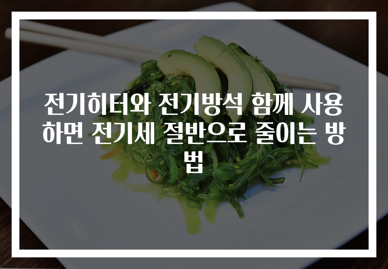 전기히터와 전기방석 함께 사용하면 전기세 절반으로 줄이는 방법