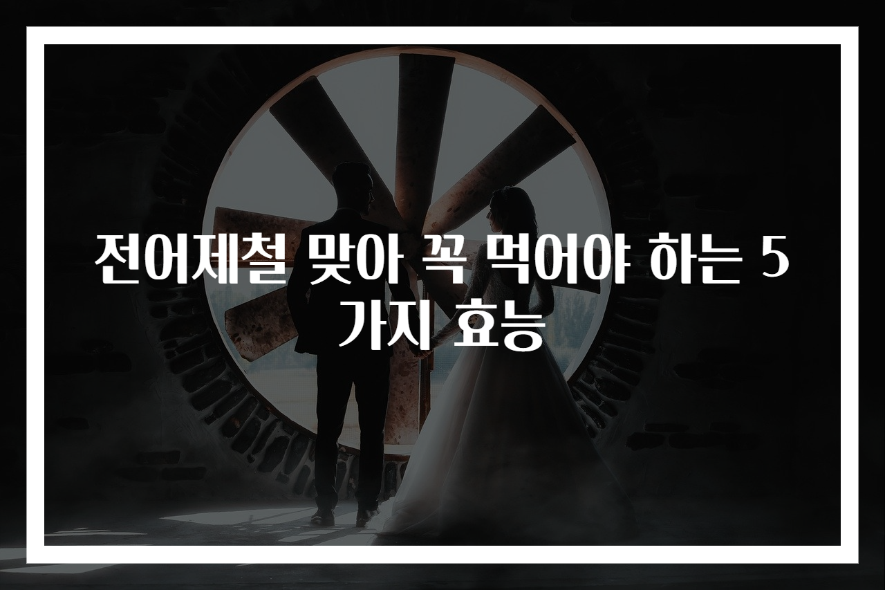 전어제철 맞아 꼭 먹어야 하는 5가지 효능