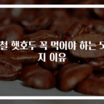 제철 햇호두 꼭 먹어야 하는 5가지 이유