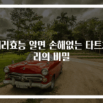 체리효능 알면 손해없는 타트체리의 비밀