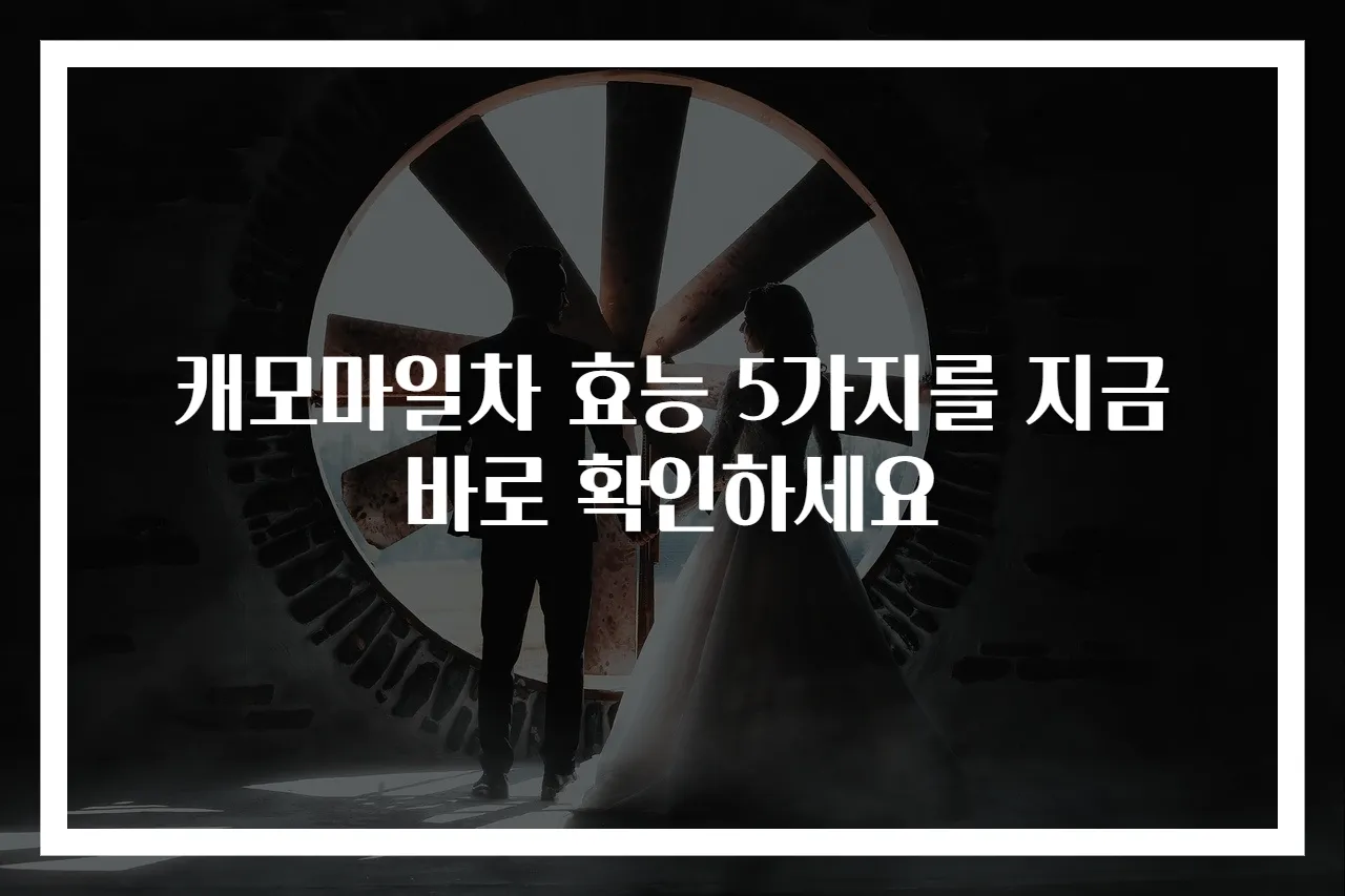 캐모마일차 효능 5가지를 지금 바로 확인하세요