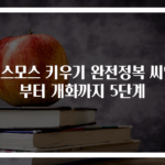 코스모스 키우기 완전정복 씨앗부터 개화까지 5단계