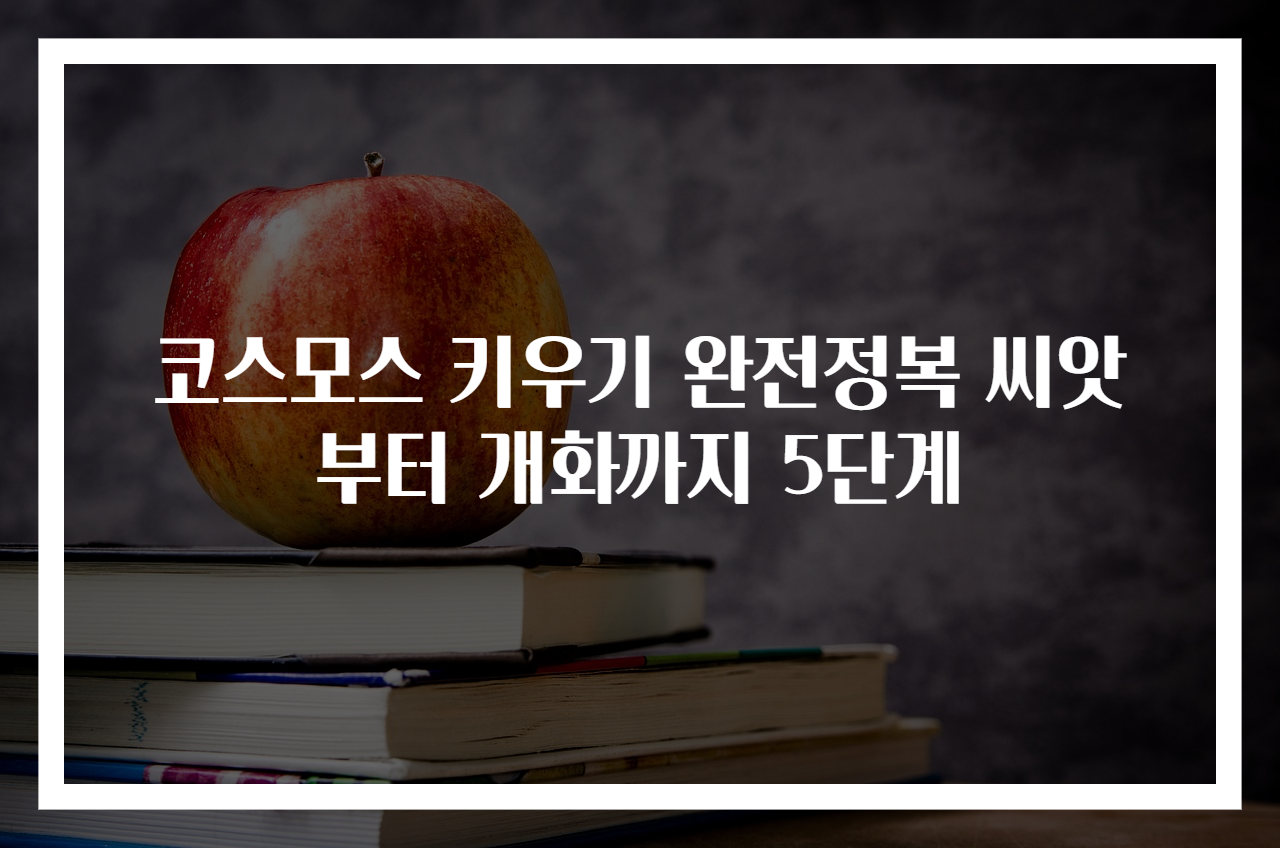 코스모스 키우기 완전정복 씨앗부터 개화까지 5단계