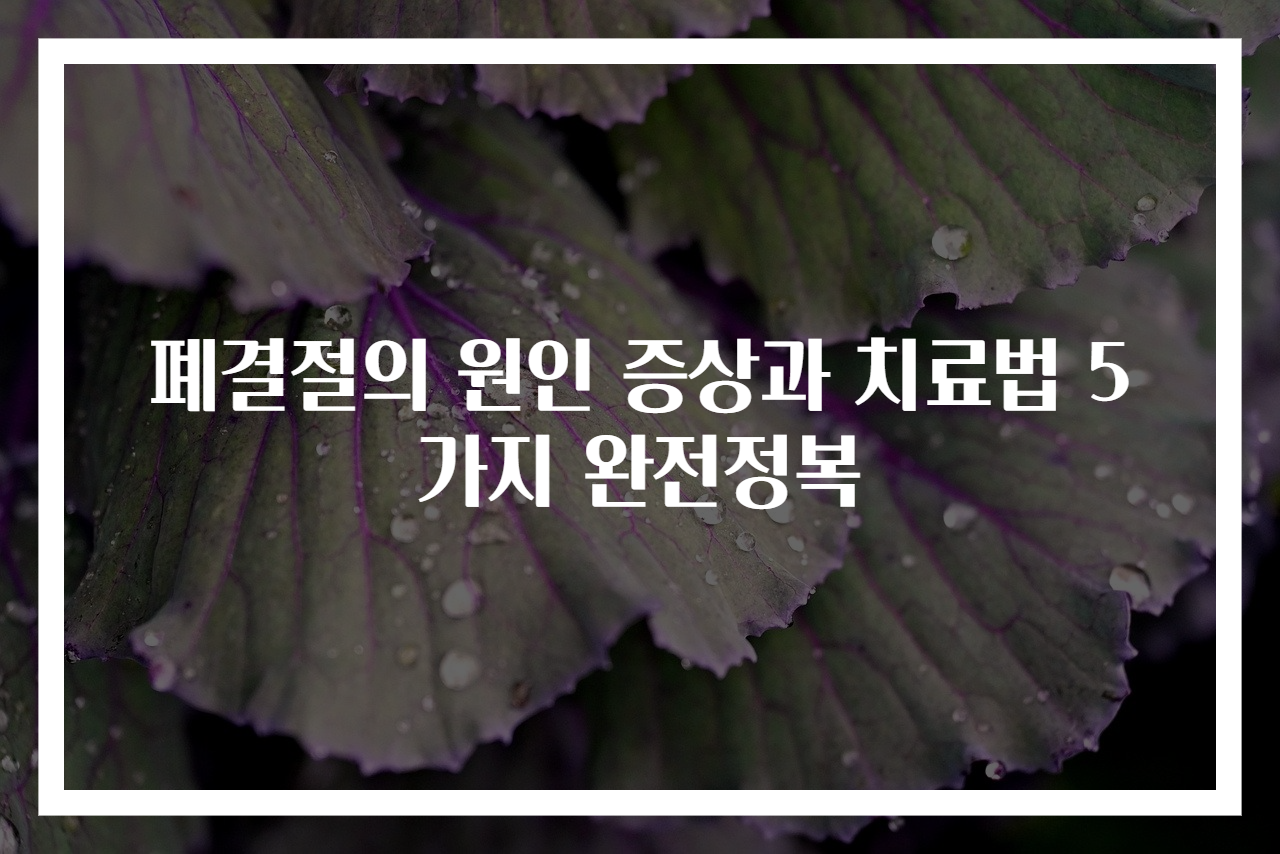 폐결절의 원인 증상과 치료법 5가지 완전정복