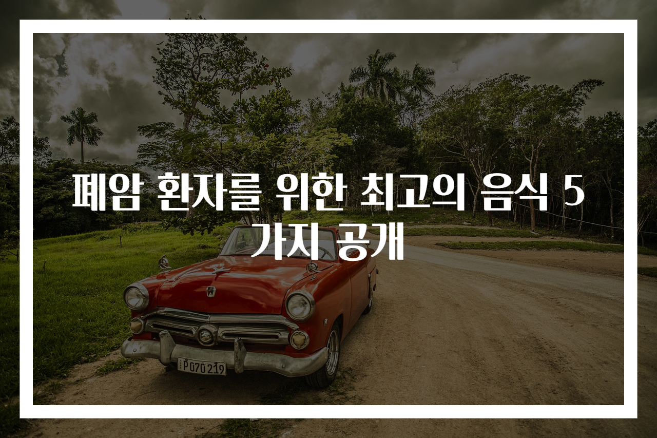 폐암 환자를 위한 최고의 음식 5가지 공개