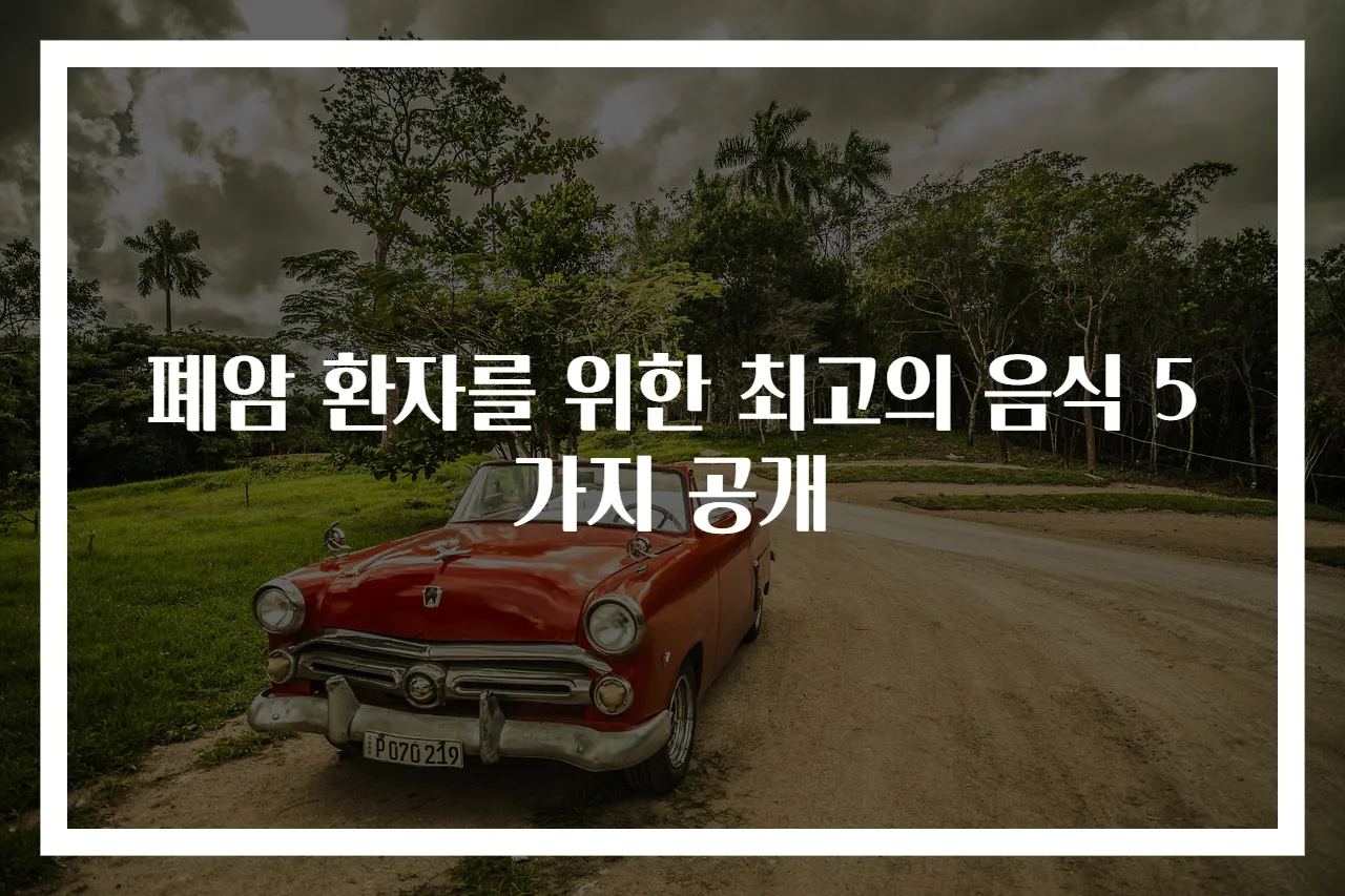 폐암 환자를 위한 최고의 음식 5가지 공개
