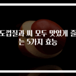 포도껍질과 씨 모두 맛있게 즐기는 5가지 효능