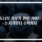 포도나무 키우기 완전 가이드 심는시기부터 수확까지