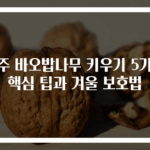 호주 바오밥나무 키우기 5가지 핵심 팁과 겨울 보호법